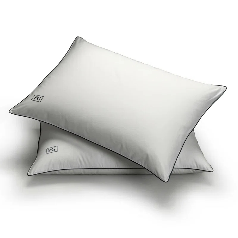 Plush Pillow (Set of 2)