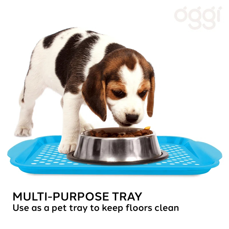 OGGI Oggi Serve Tray
