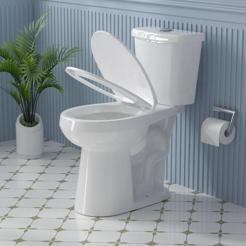 19 in. 2-Piece Toilet 1.1/1.6 GPF Dual Flush Round White Toilet ADA Height with Soft-Close Seat