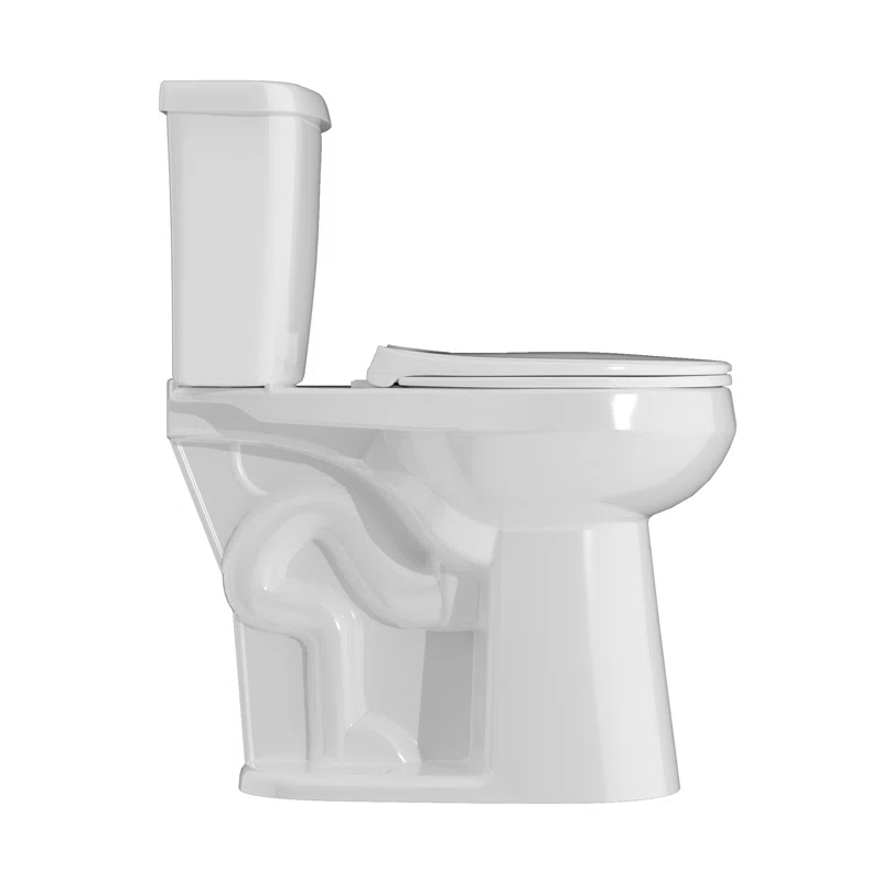19 in. 2-Piece Toilet 1.1/1.6 GPF Dual Flush Round White Toilet ADA Height with Soft-Close Seat