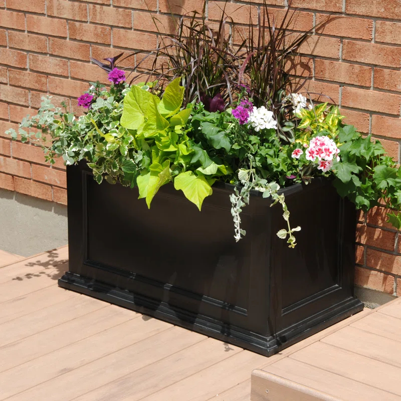 Winston Porter Anastasiya 20"x36" Resin Planter with Water Reservoir