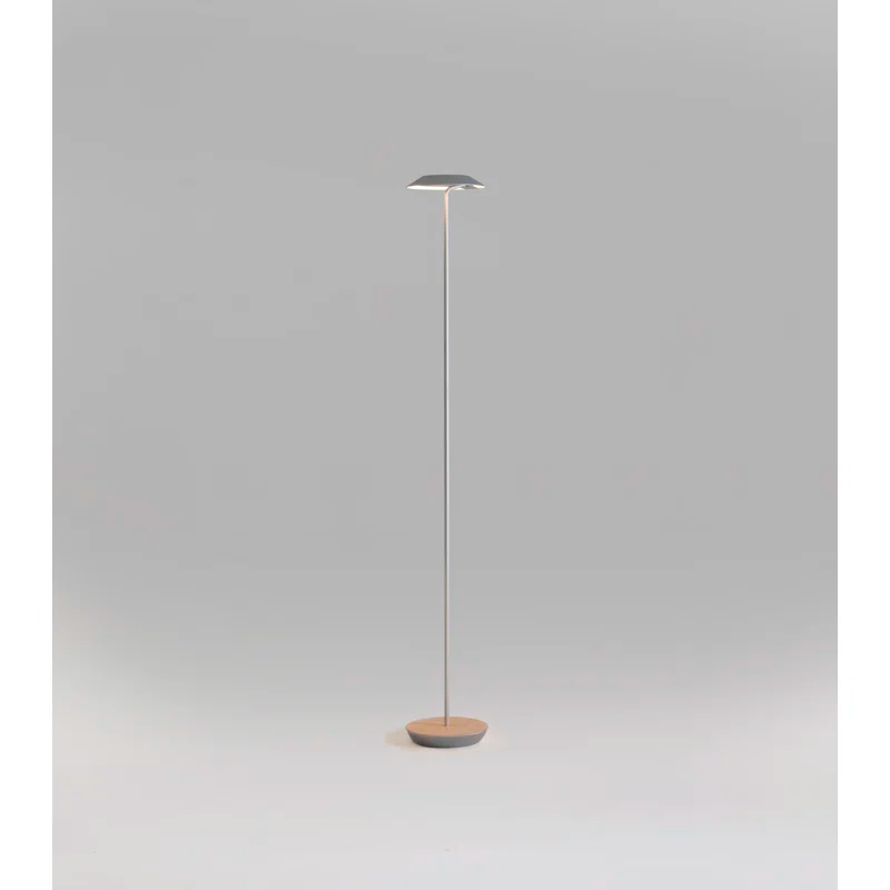 Royyo 45.5'' LED Floor Lamp