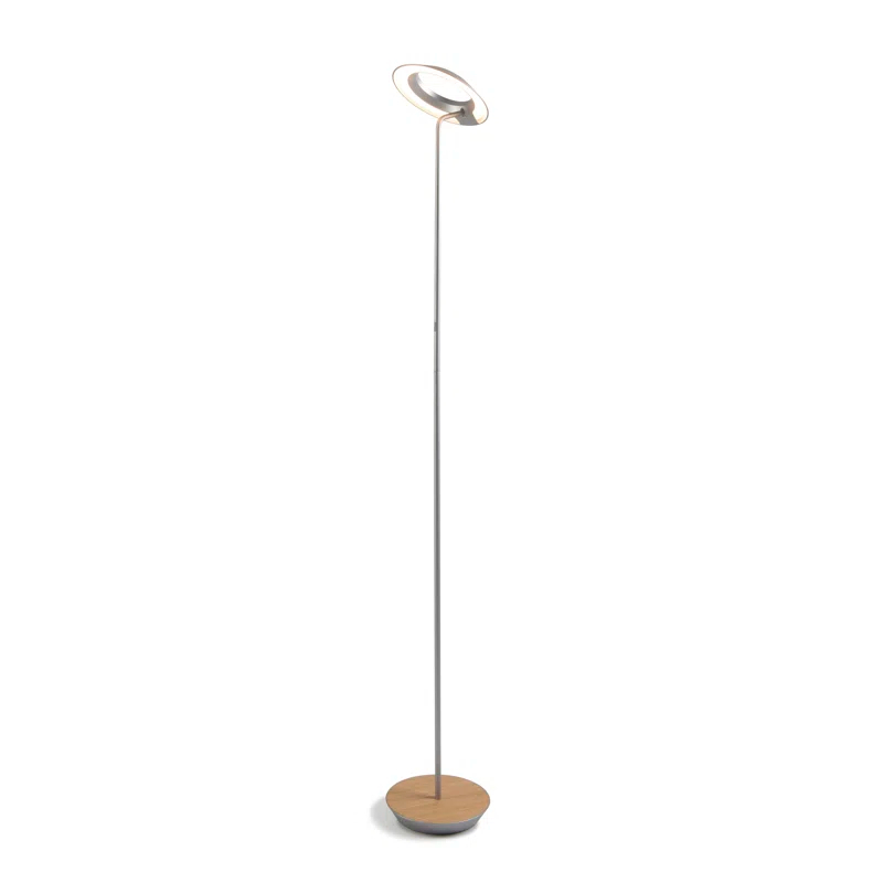 Royyo 45.5'' LED Floor Lamp