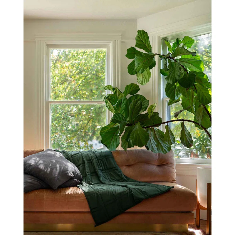 Baloo Living Baloo Living Cool Cotton Weighted Blanket