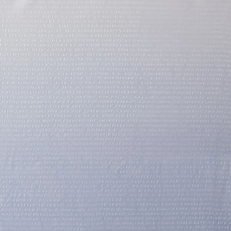 Madison Park Ara Ombre Printed Seersucker Single Shower Curtain
