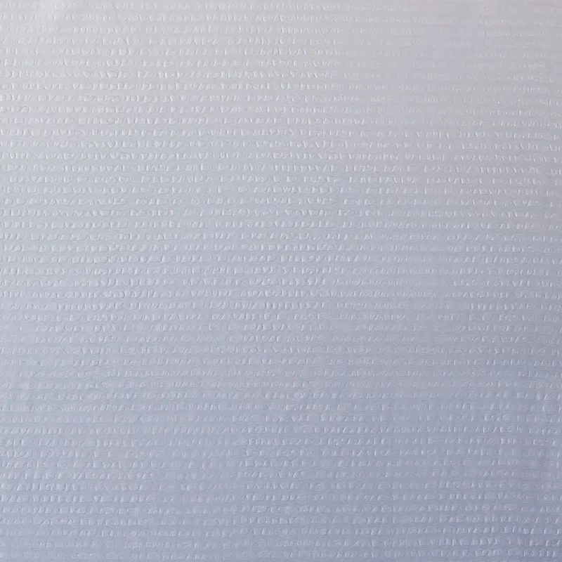 Madison Park Ara Ombre Printed Seersucker Single Shower Curtain