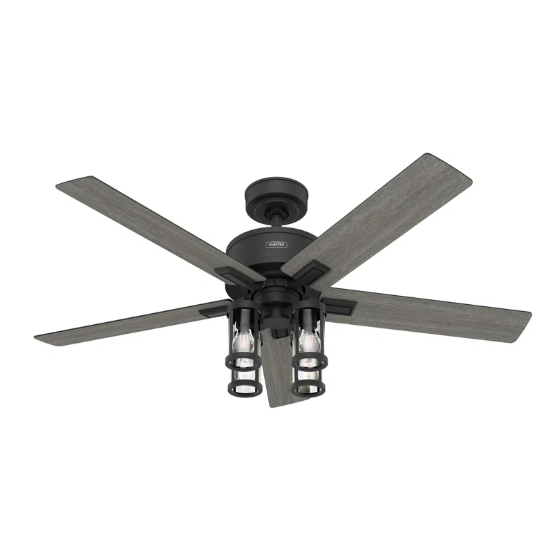 Hunter Fan Hunter 52 inch Astwood II Ceiling Fan with Lights and Remote
