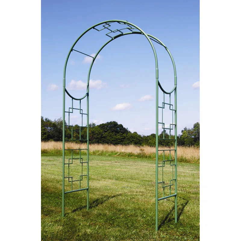Paola Arbor