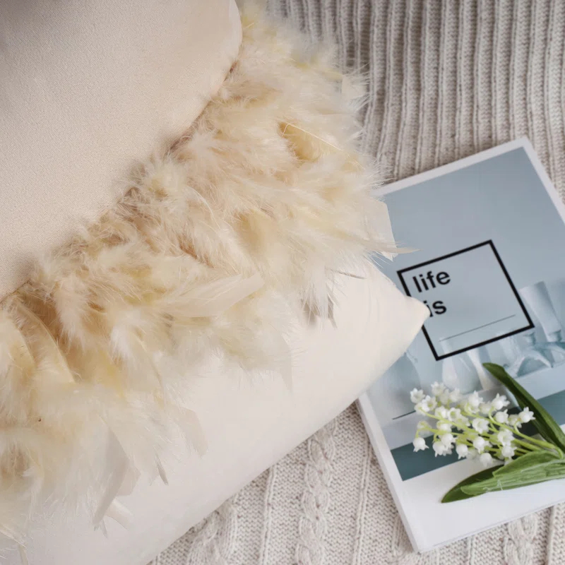 Phantoscope Feather Pillow Cover Pillow Cover (Set of 2)