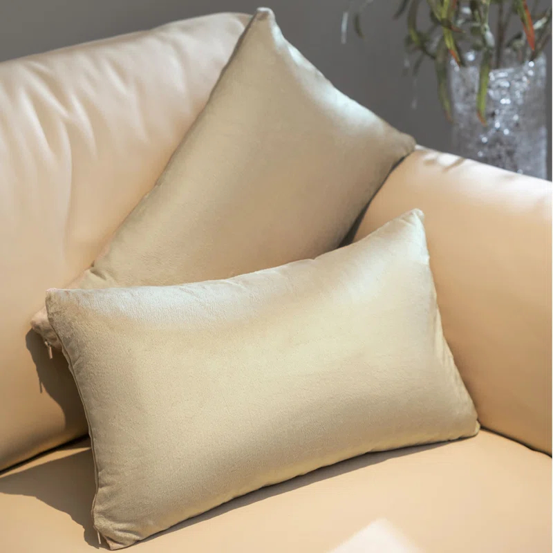 Throw Pillow (Set of 2)