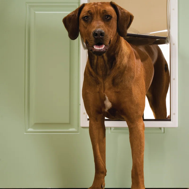 PetSafe® PetSafe® Plastic Pet Door X-Large