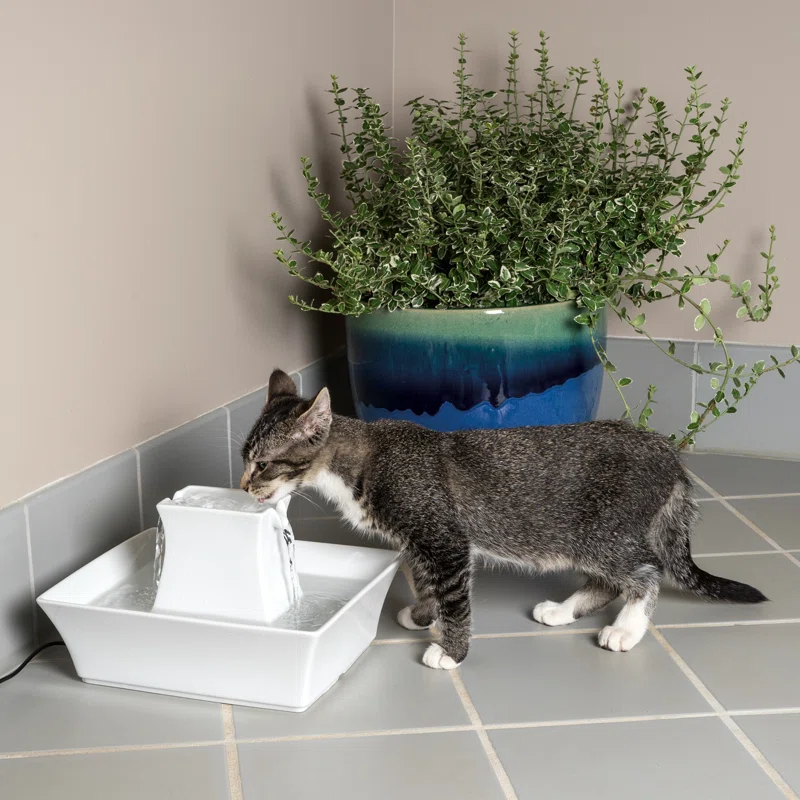 PetSafe® Pagoda Pet Fountain