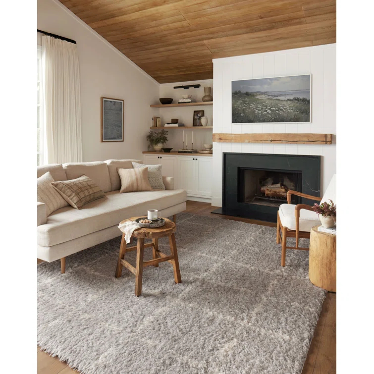 Angela Rose x Loloi Angela Rose x Loloi Amira Silver / Ivory Area Rug