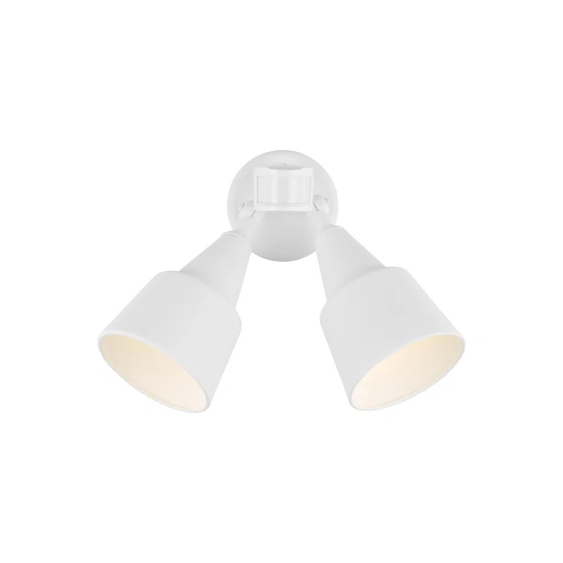 Generation Lighting Collection Metal Flood Light