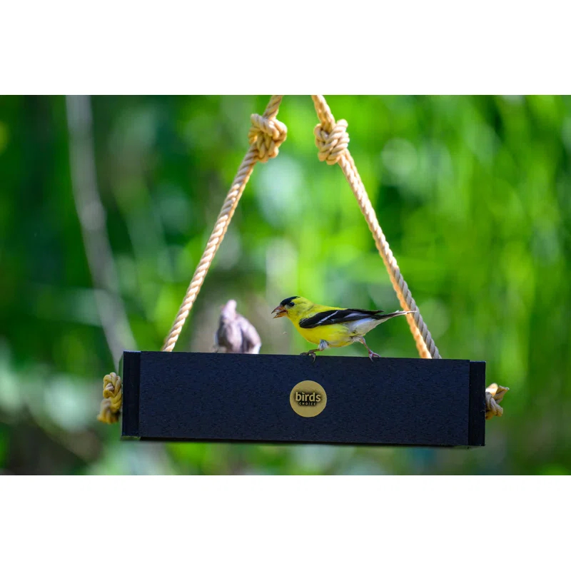 Birds Choice Birds Choice Modern Farmhouse Small Hanging Platform Bird Feeder