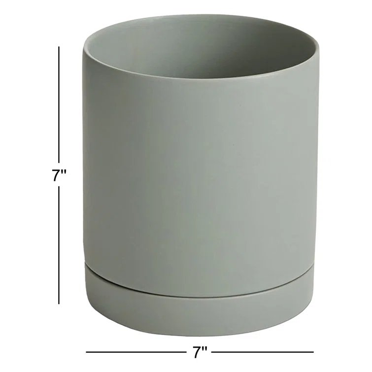 Carlotta Ceramic Pot Planter