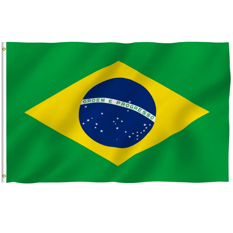 Fly Breeze Series Brazil Polyester 36 x 60 in. House Flag
