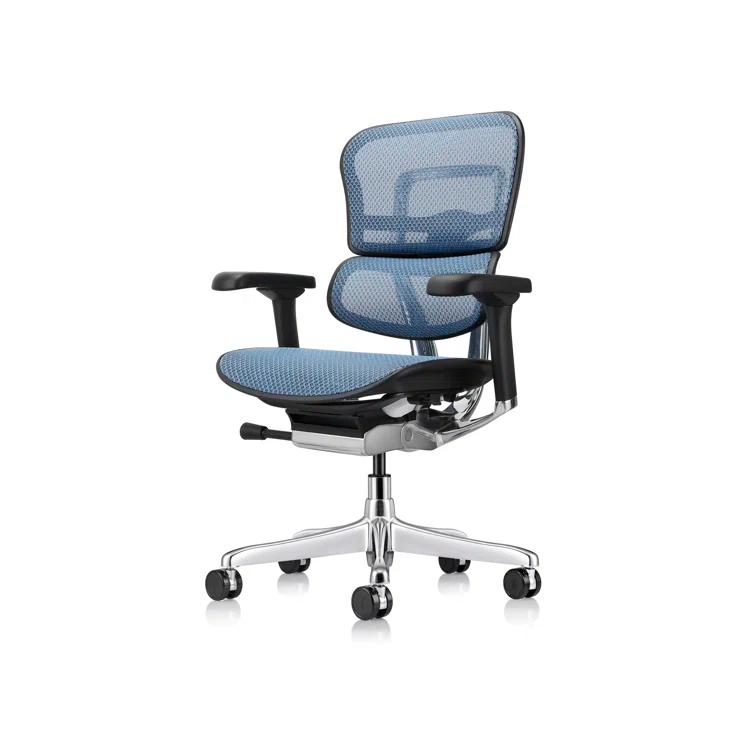 Eurotech Seating Ergohuman Task Chair