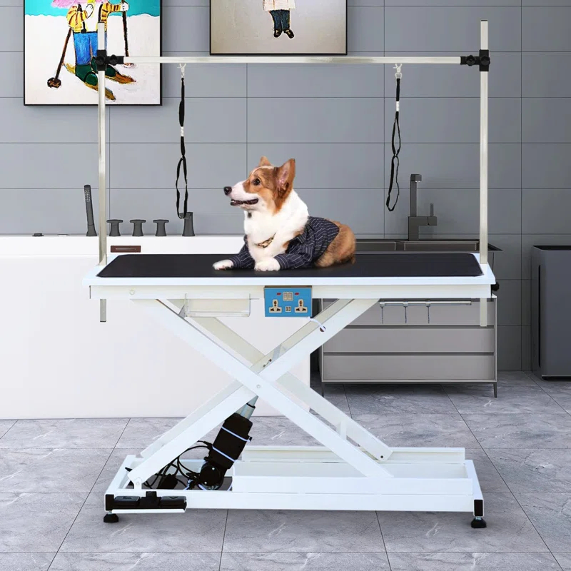 SoarFlash 36'' H x 49.6'' W x 26'' D Metal Adjustable Dog Electric Grooming Table