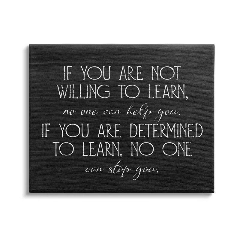 Stupell Industries " Determined To Learn Motivational " by Lil' Rue