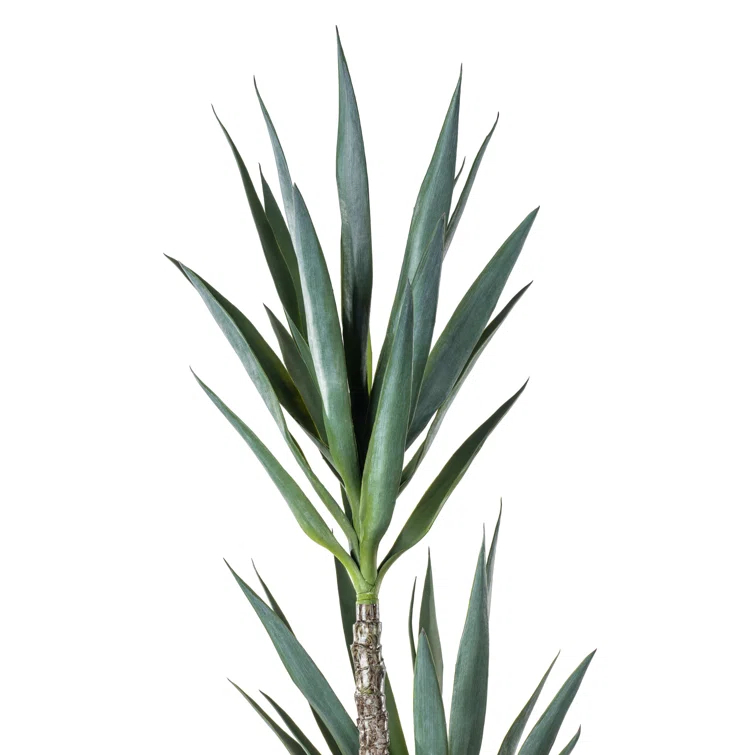 Artificial Green Yucca Tree in Black Planters Pot.