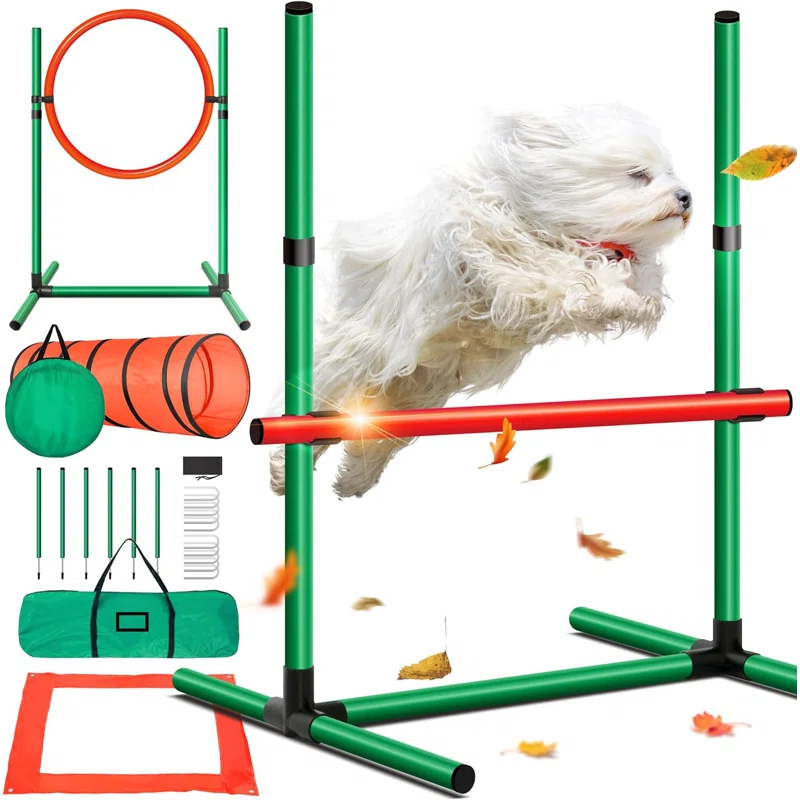 TGU Dog Agility Training Set