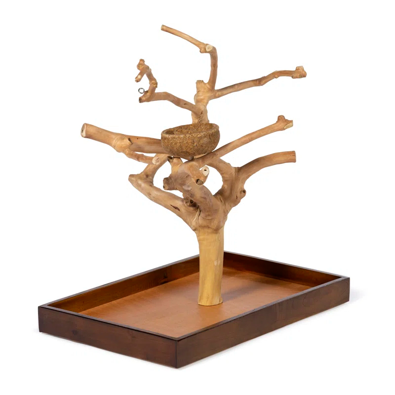 Tucker Murphy Pet™ Freeport One-of-a-Kind 22.5'' Wood Bird Play Stand for Table Top