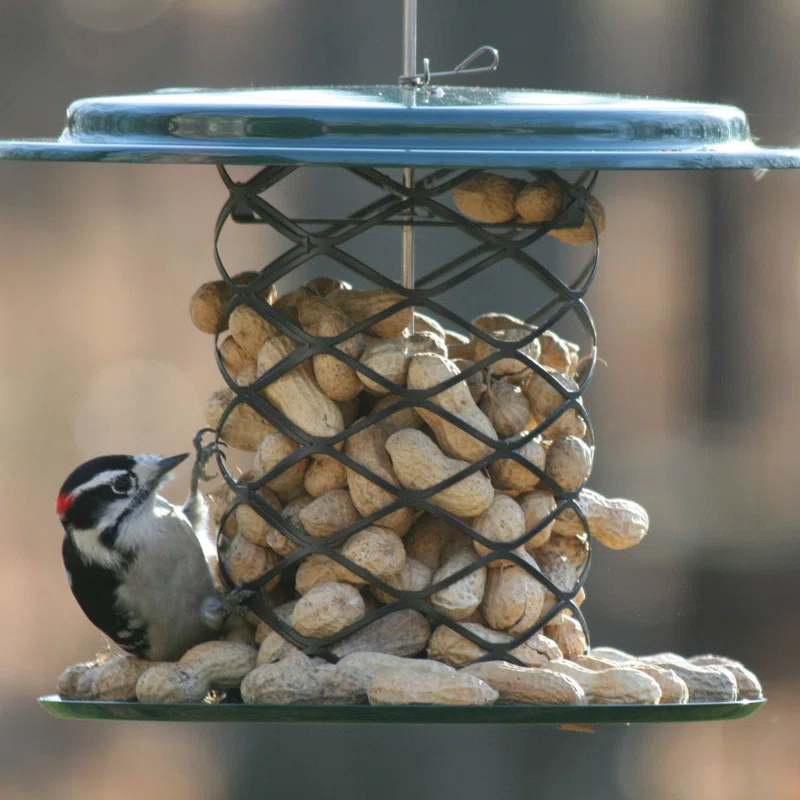 Birds Choice Metal Hanging Tube Bird Feeder