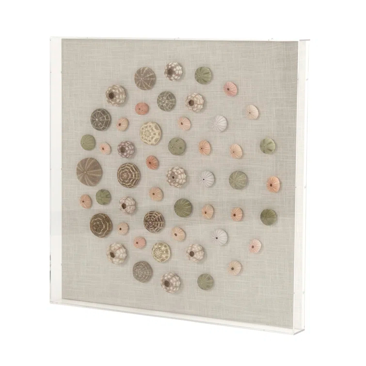 Handmade Coastal Shells Acrylic Shadowbox Wall Art
