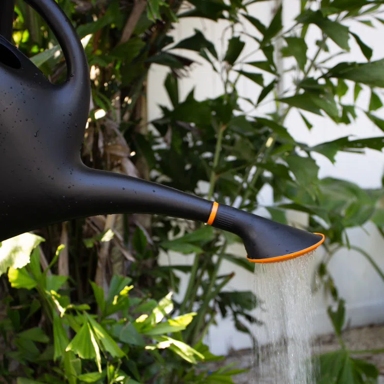 Bloem Easy Pour 2.6 Gallon Plastic Indoor/Outdoor Watering Can