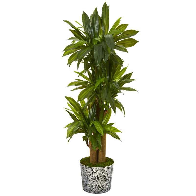 Winston Porter 58'' Faux Dracaena Plant in Metal Planter