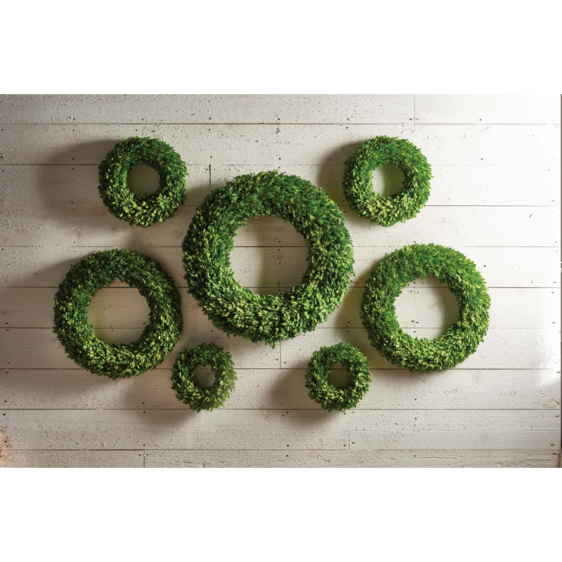Birch Lane™ Alby Preserved Boxwood Real Greenery Wreath