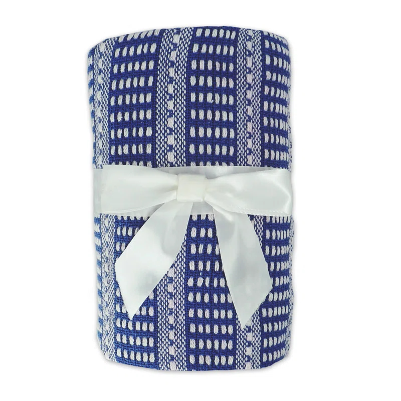 Striped Fringed Woven Cotton Throw Blanket