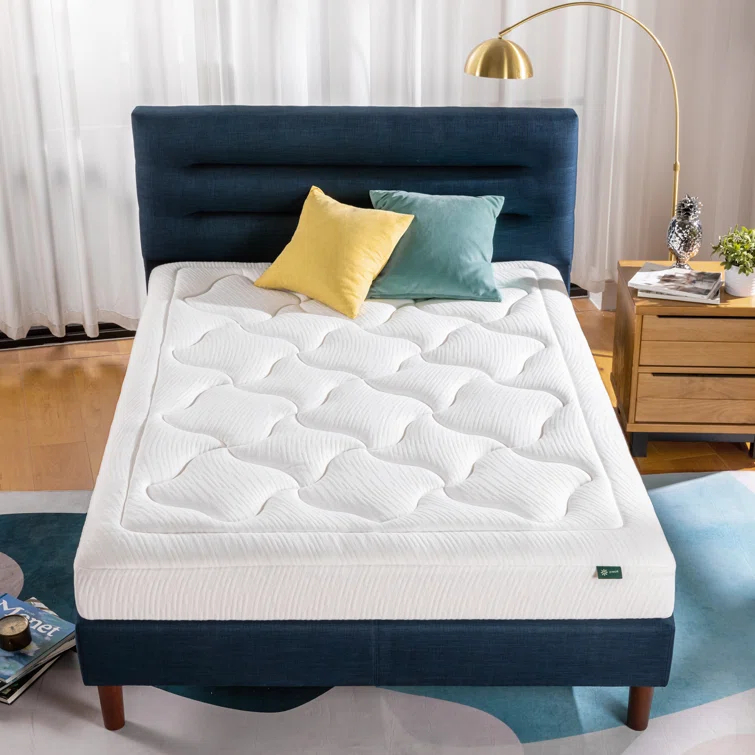 Zinus 8'' Plush Memory Foam Mattress