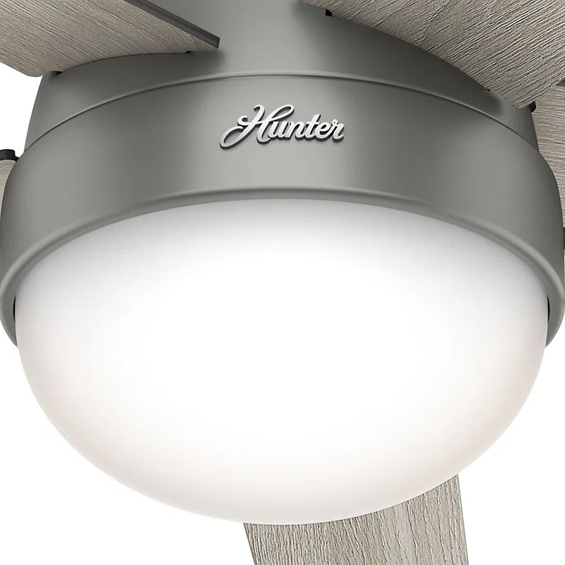 Hunter Fan 46" Anslee Standard Ceiling Fan with Pull Chain and Light Kit Included