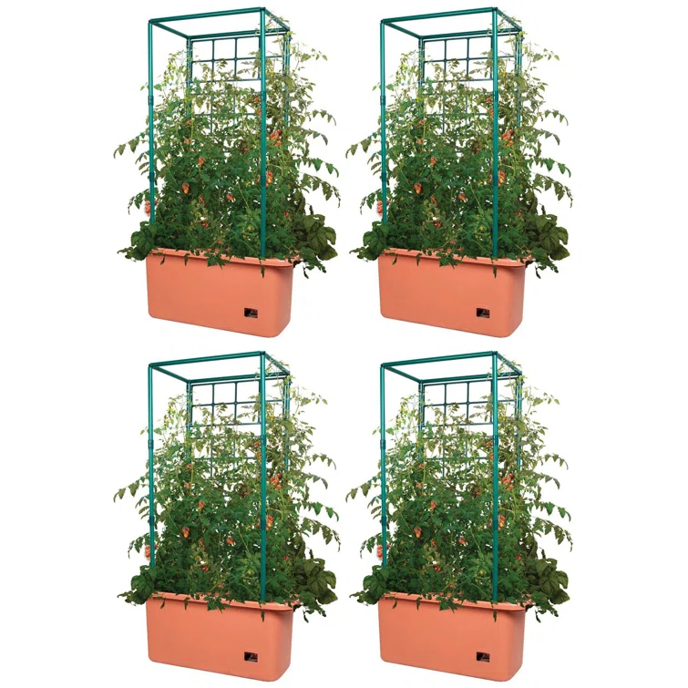 Hydrofarm Hydrofarm Accessory Fruits / Vegetables (Set of 4)