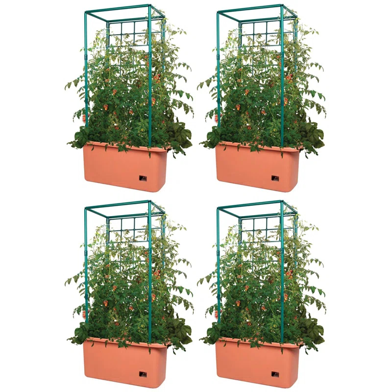 Hydrofarm Hydrofarm Accessory Fruits / Vegetables (Set of 4)