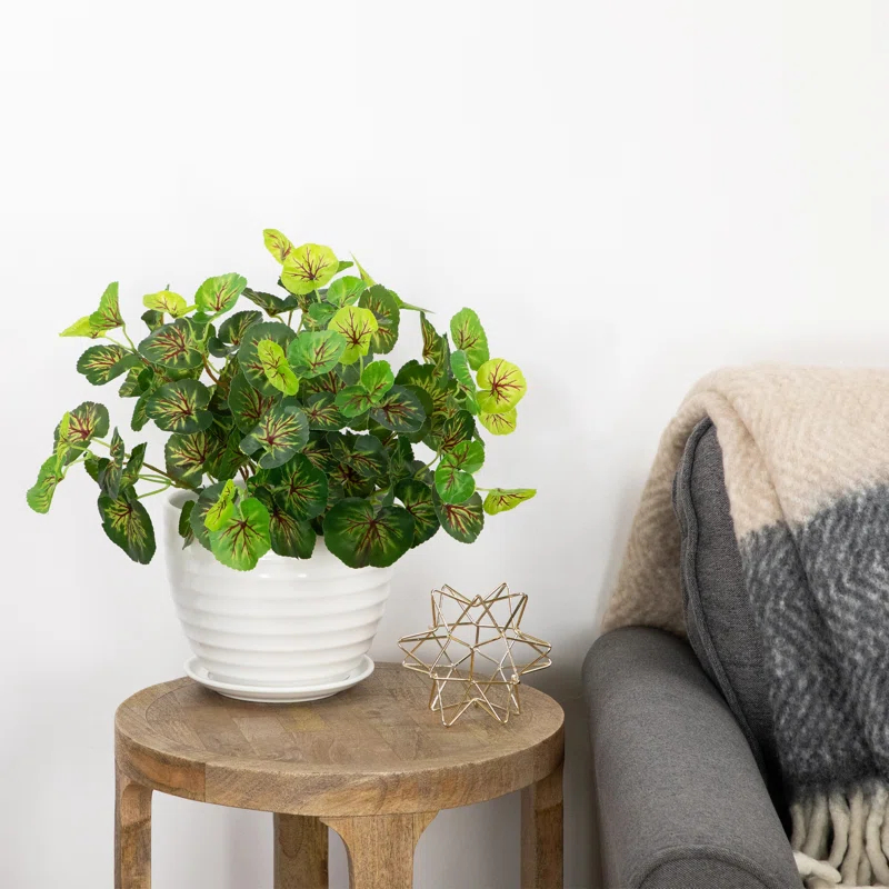 Northlight Seasonal 15" Two Toned Green Begonia Artificial Floral Bush