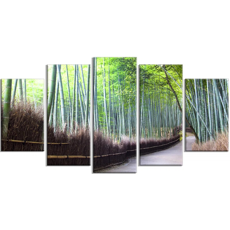 Design Art " Kyoto Bamboo Forest Pathway " 5 - Pieces