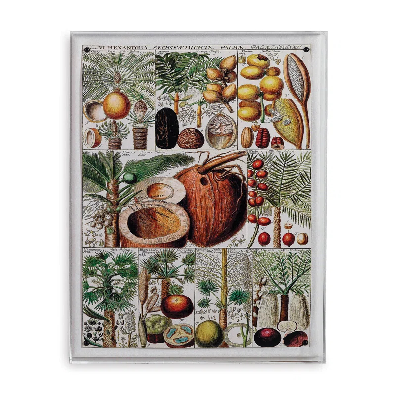 Port 68 " Palm Chart "
