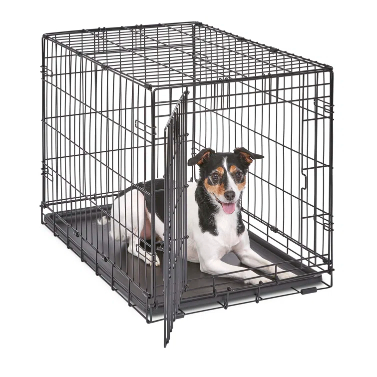 Midwest Homes For Pets MidWest Homes for Pets Newly Enhanced Single Door iCrate Dog Crate Includes Divider Panel