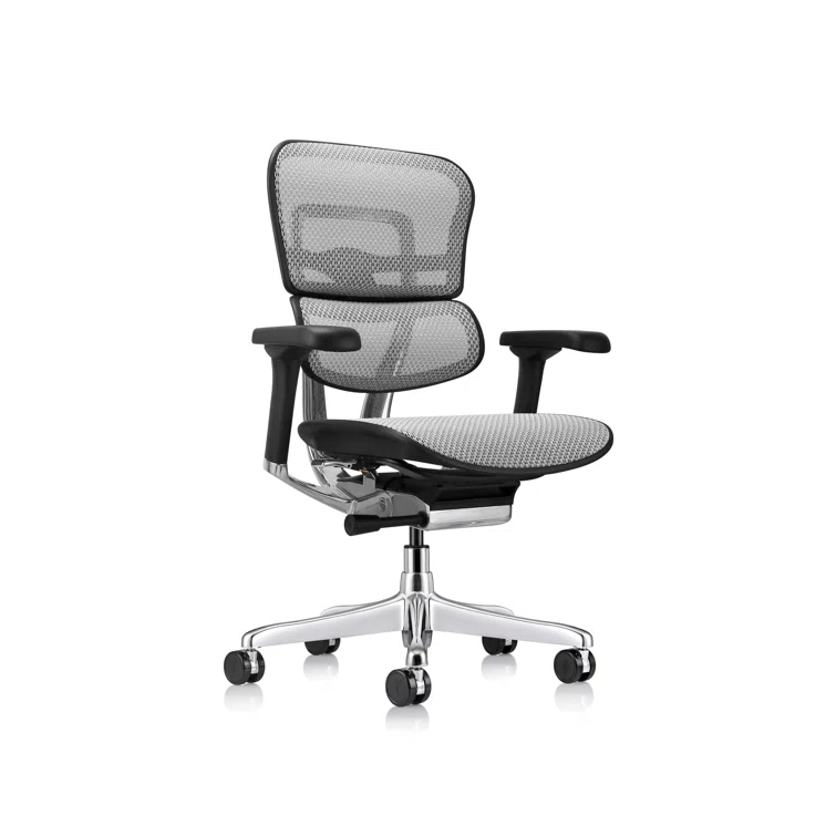 Eurotech Seating Ergohuman Task Chair