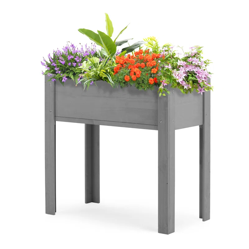 Arlmont & Co. Raised Garden Bed With Legs (31X16x31''), Solid Wood Elevated Planter Box For Outdoor