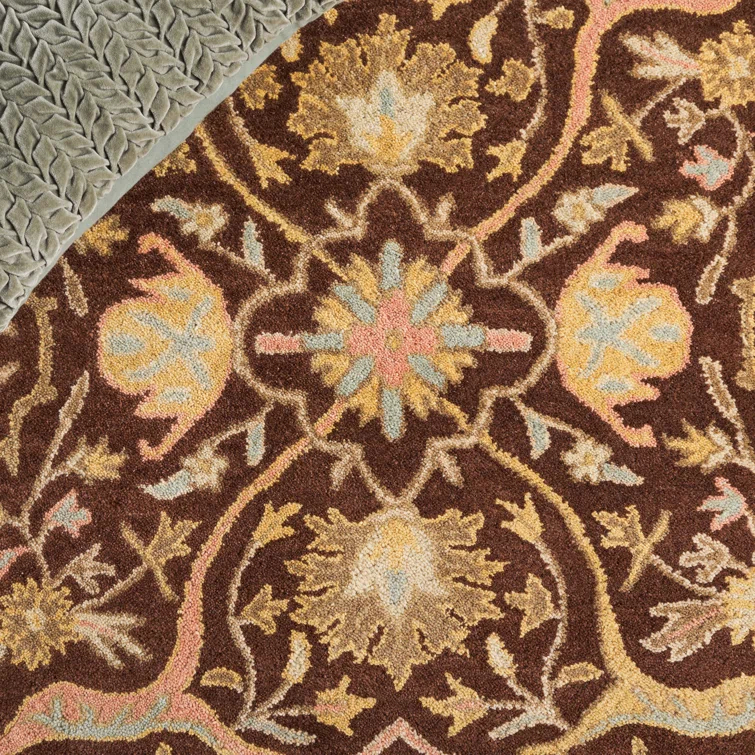 Safavieh 4' x 6'