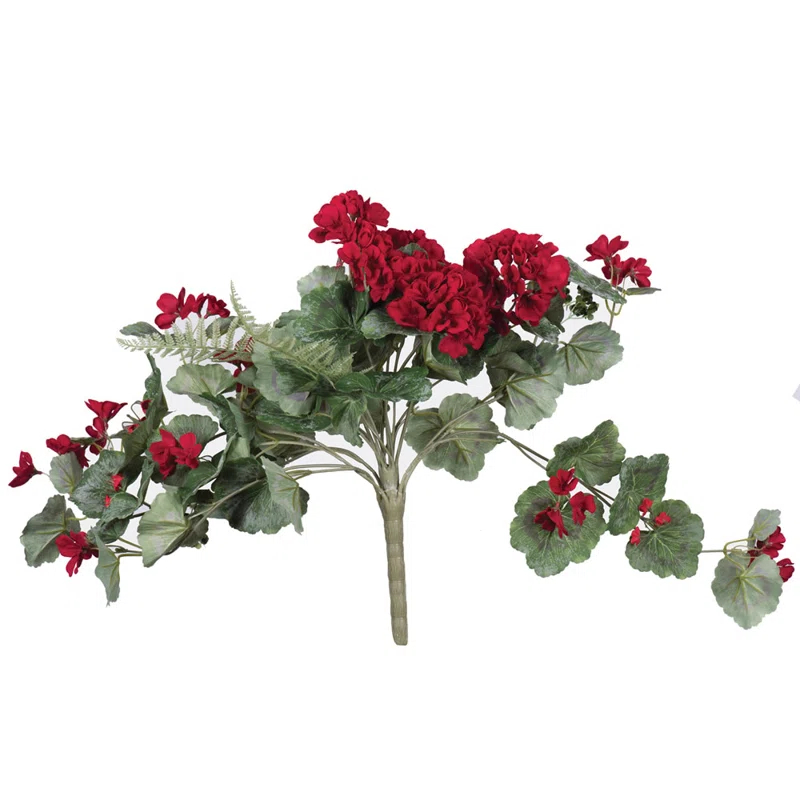 Primrue Geranium Stem