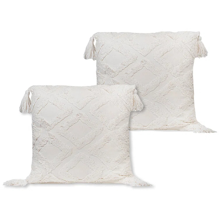 Sol Living Tassels Cotton Indoor/Outdoor Throw Pillow (Set of 2)