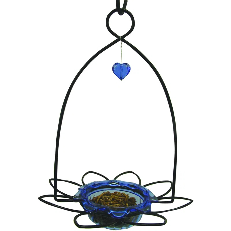 Birds Choice Birds Choice 3 oz. Bluebird Flower Cup Feeder for Dried Fruit or Mealworms, Blue