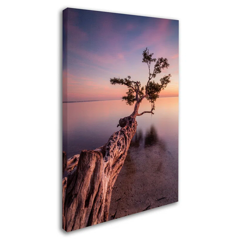 Trademark Fine Art "Water Tree IV" by Moises Levy Photographic Print on Wrapped Canvas