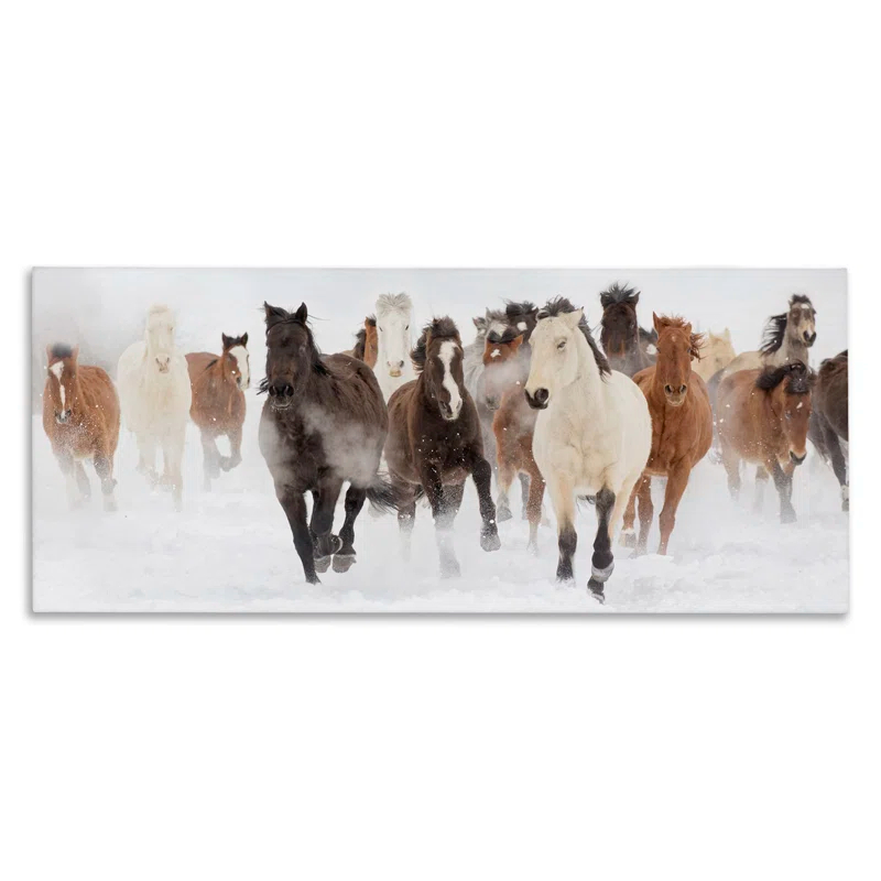 Stupell Industries Wild Horses Herd Foggy Winter Day Running Snow by Danita Delimont - Painting