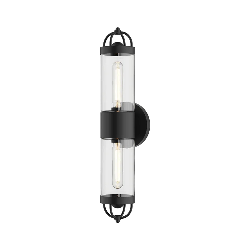 Joss & Main Santi Wall Light
